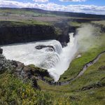 Дивото зове