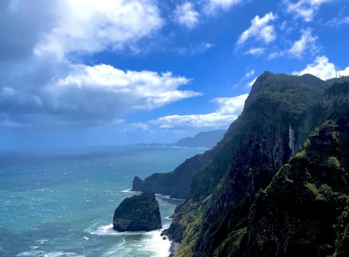 Дивото зове