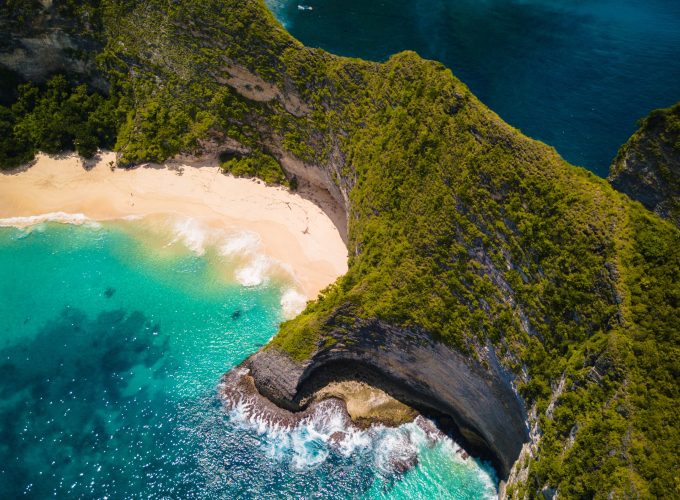 Дивото зове