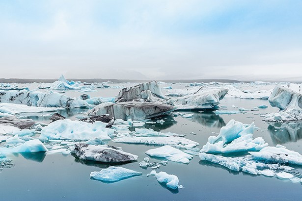 Ден 5: Ледници и айсберги – пейзажи, които спират дъха