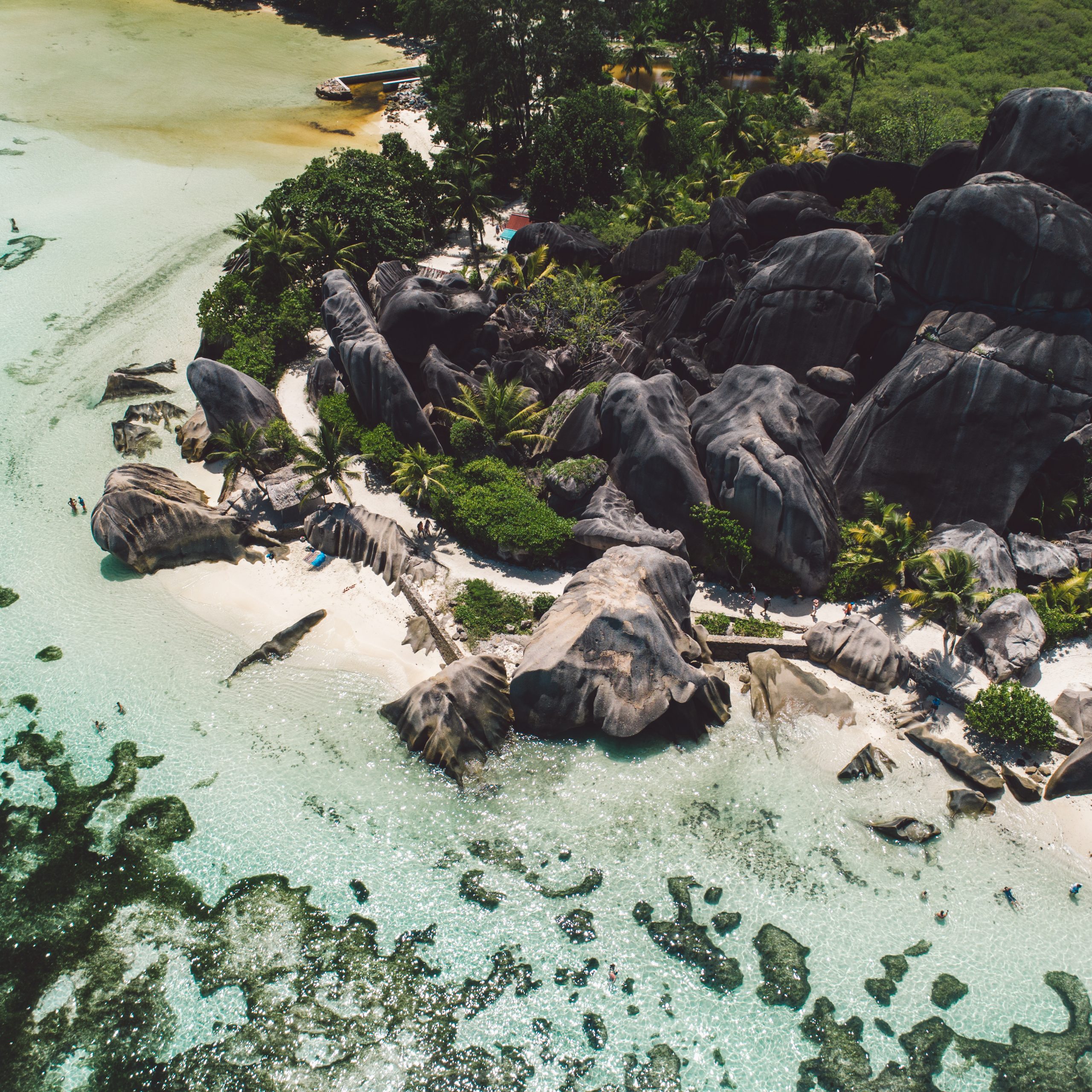 Ден 4: Подводно приключение: сардини, костенурки и Върджин Айлънд 🐢