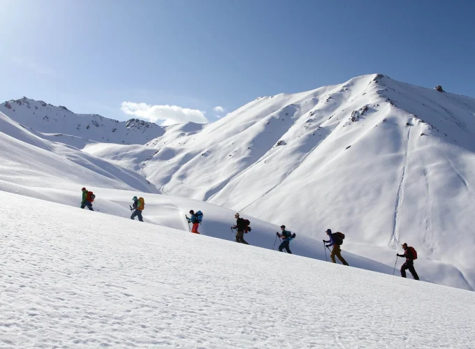 Дивото зове