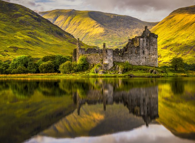 Дивото зове