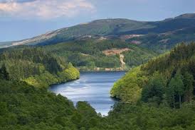 Ден 1: Пристигане и потегляне към дивото