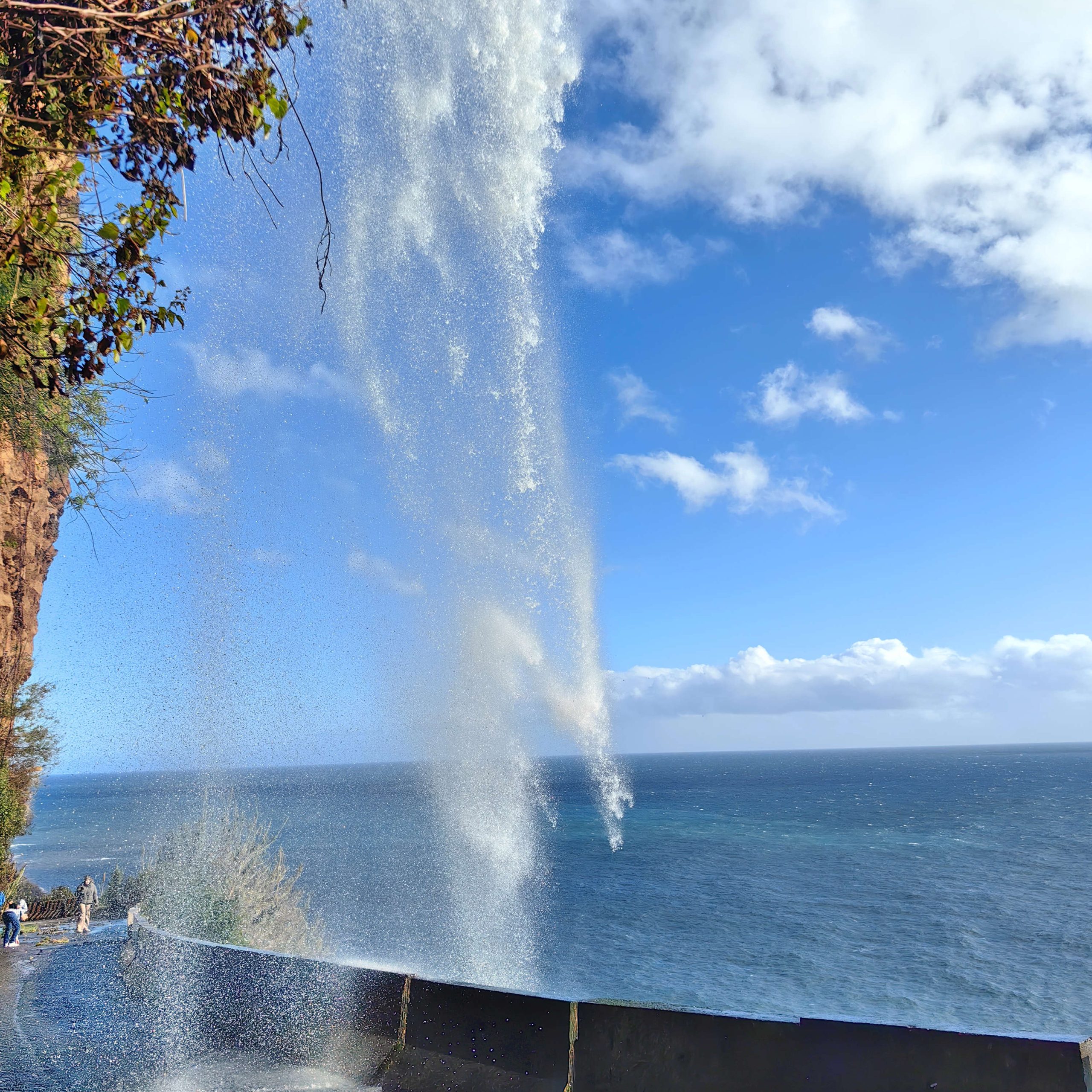 Ден 7 - Отпътуване 